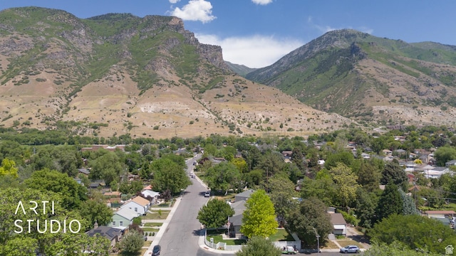1132 E 360 S, Provo, UT 84606 - mountain view