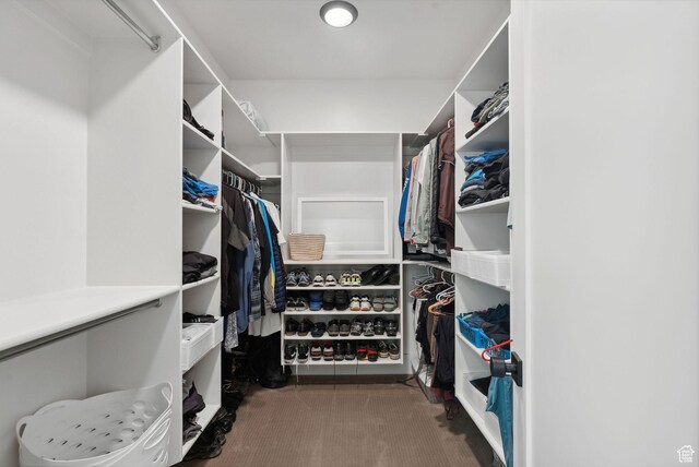 786 S 820 E, Pleasant Grove, UT 84062 - walk in closet with carpet floors