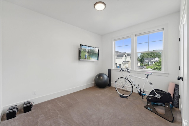 786 S 820 E, Pleasant Grove, UT 84062 - workout area featuring carpet floors and baseboards