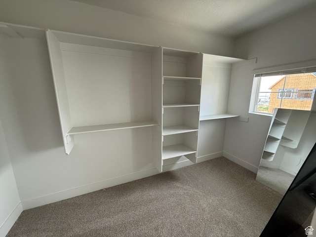 4582 W 3725 S Unit 241, West Haven, UT 84401 - walk in closet with carpet flooring