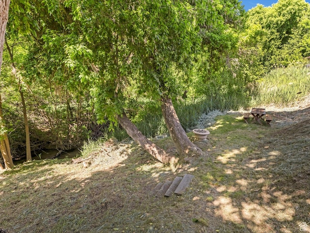 1735 Hayes Dr, Layton, UT 84040 - view of undeveloped land