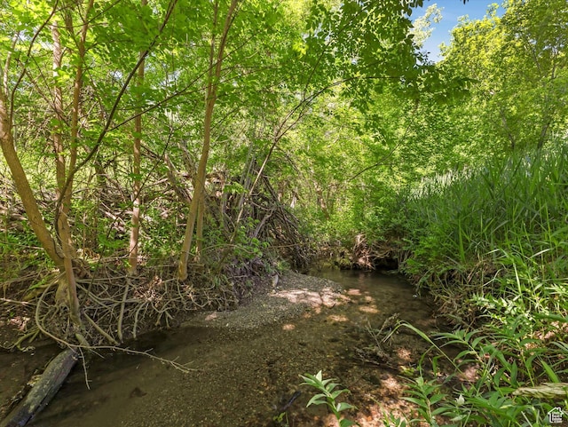 1735 Hayes Dr, Layton, UT 84040 - view of nature