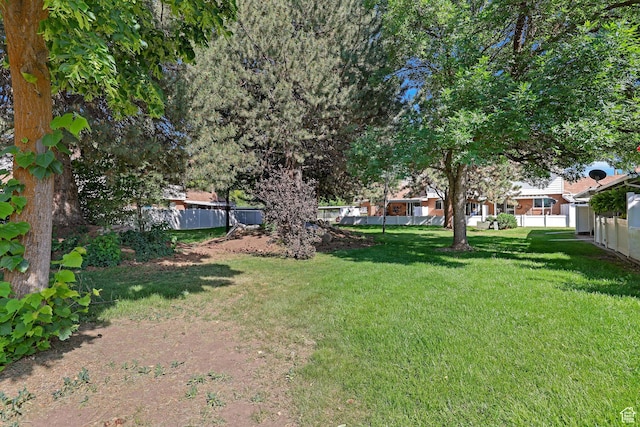 895 E 1015 S, Ogden, UT 84404 - view of yard