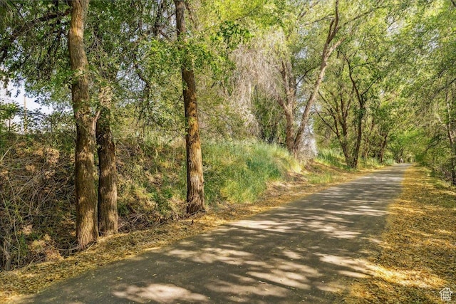 1171 N 900 W, Clinton, UT 84015 - view of road with a view of trees