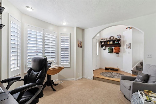 1171 N 900 W, Clinton, UT 84015 - office space featuring arched walkways, carpet, plenty of natural light, baseboards, and a textured ceiling