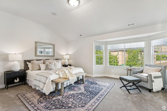 13353 S Wilburton Dr, Draper, UT 84020 - bedroom with carpet, vaulted ceiling, baseboards, and a textured ceiling