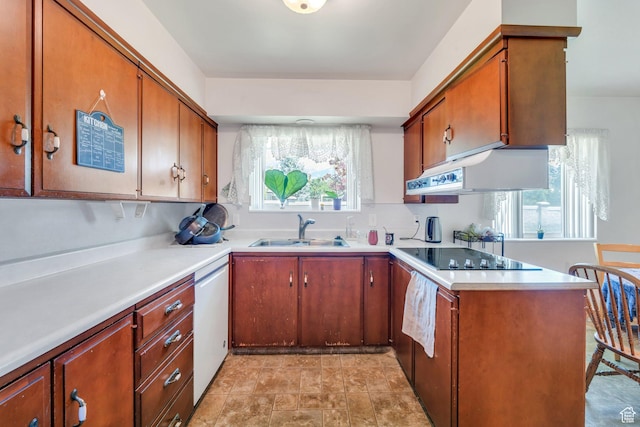 210 N 825 E, American Fork, UT 84003 - kitchen with a sink, white dishwasher, black electric stovetop, under cabinet range hood, and light countertops
