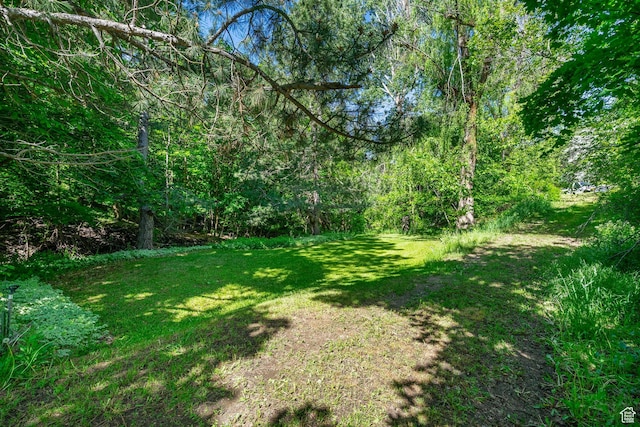 2718 E 200 N, Layton, UT 84040 - view of grassy yard featuring a view of trees