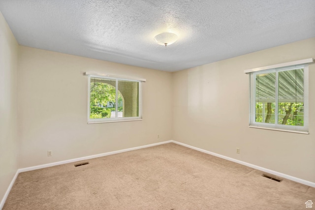 2718 E 200 N, Layton, UT 84040 - carpeted empty room with plenty of natural light, a textured ceiling, and baseboards