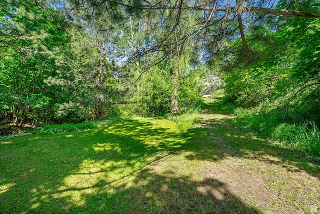 2718 E 200 N, Layton, UT 84040 - view of green lawn