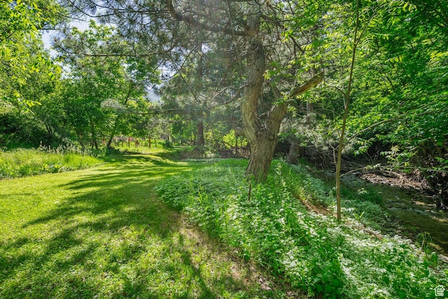 2718 E 200 N, Layton, UT 84040 - view of grassy yard featuring a wooded view