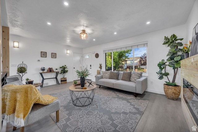 5494 W Townsend Way, West Valley City, UT 84118 - living area with a glass covered fireplace, wood finished floors, recessed lighting, and baseboards