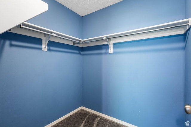 410 Wheatridge Rd, Stansbury Park, UT 84074 - walk in closet with carpet floors