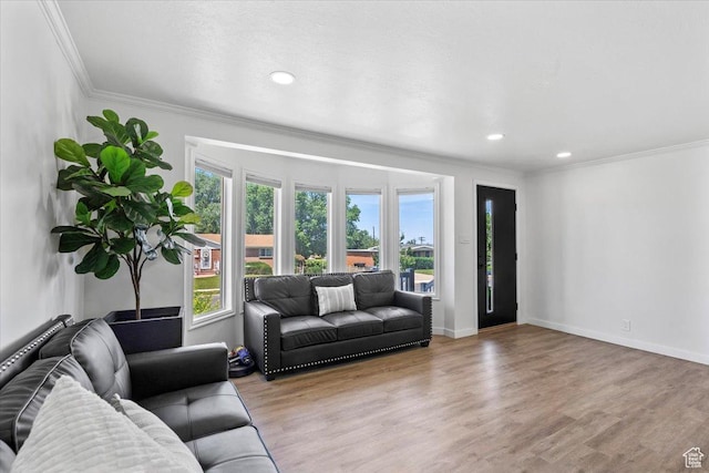 1392 N 450 E, Bountiful, UT 84010 - living room featuring ornamental molding, wood finished floors, recessed lighting, and baseboards