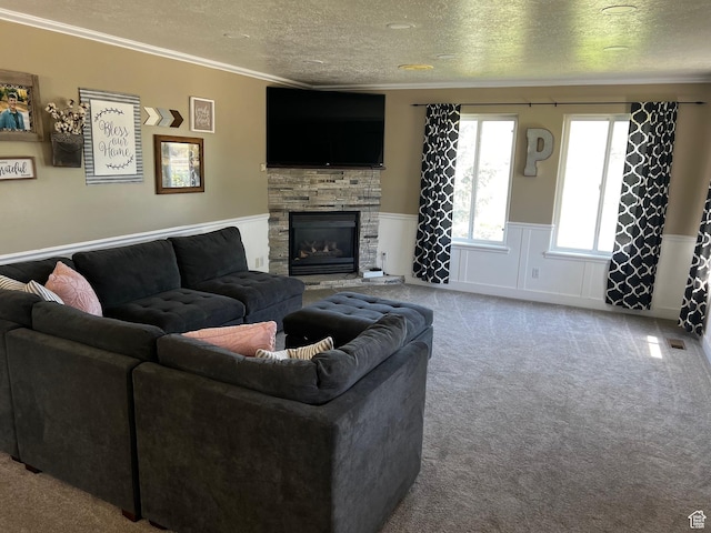 9029 N Treasureton Rd, Preston, ID 83263 - living area with ornamental molding, a textured ceiling, carpet floors, wainscoting, and a stone fireplace