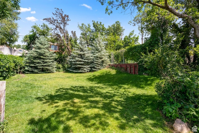 3243 S 200 W, Bountiful, UT 84010 - view of green lawn