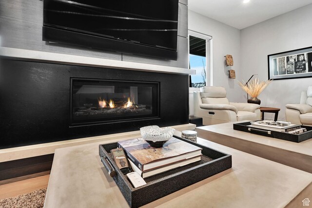 6339 E Quail Ln, Huntsville, UT 84317 - living room featuring a glass covered fireplace