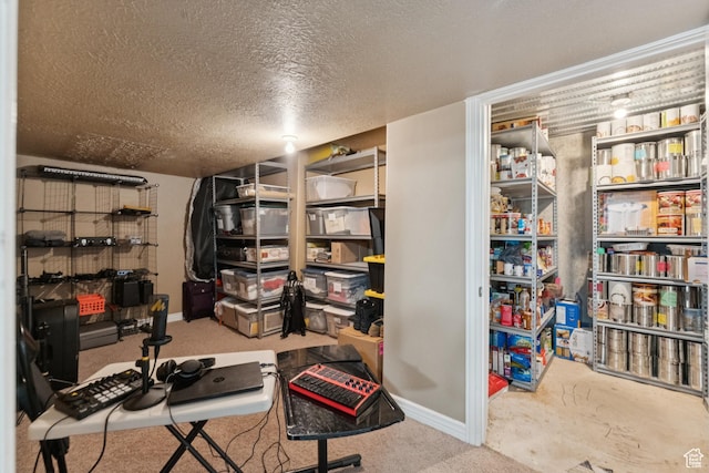 473 W 175 N, Morgan, UT 84050 - view of storage room
