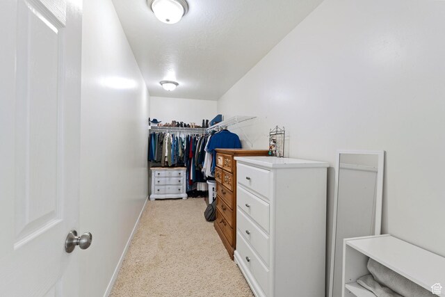 892 W Mattea, Springville, UT 84663 - spacious closet featuring light colored carpet