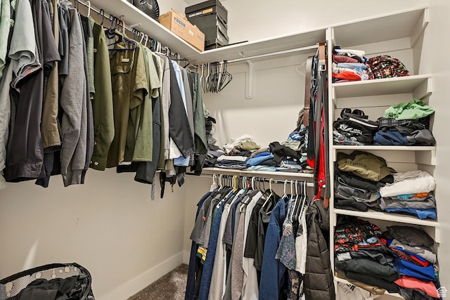 4657 W 275 N, Cedar City, UT 84720 - spacious closet with carpet flooring
