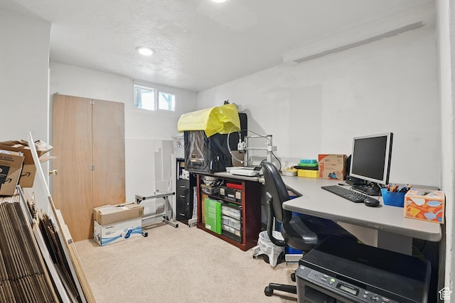 8757 W Helen Dr, Magna, UT 84044 - office space with carpet flooring
