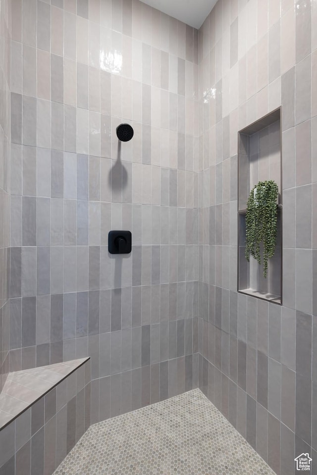 824 S 1690 W, Hurricane, UT 84737 - bathroom featuring a tile shower