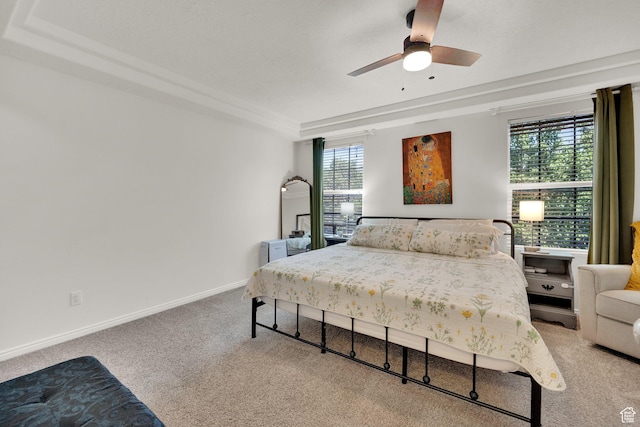 14284 S Daisyfield Dr E, Draper, UT 84020 - bedroom featuring carpet flooring, a tray ceiling, baseboards, and a ceiling fan