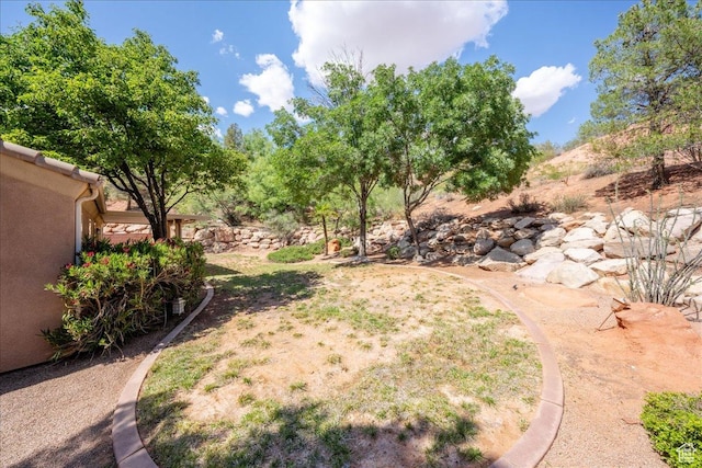1173 W Snow Canyon Pkwy Unit 30, St George, UT 84770 - view of yard