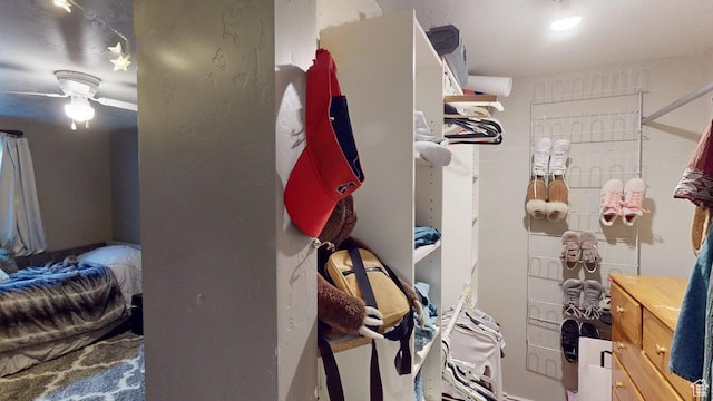 540 E 990 N, Pleasant Grove, UT 84062 - view of walk in closet