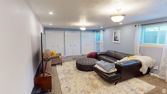 540 E 990 N, Pleasant Grove, UT 84062 - living area with carpet floors, plenty of natural light, baseboards, a textured ceiling, and recessed lighting