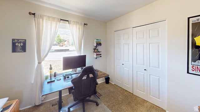 540 E 990 N, Pleasant Grove, UT 84062 - office with carpet flooring and baseboards