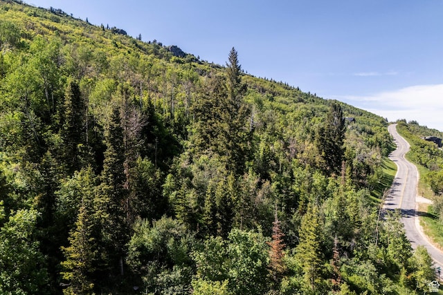 6890 Canyon Drive Ct, Park City, UT 84098