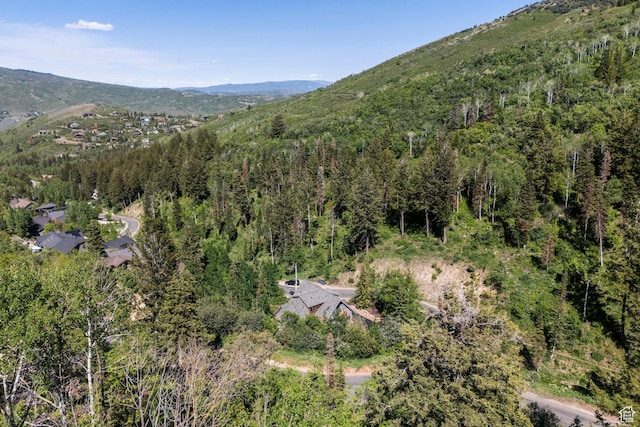 6890 Canyon Drive Ct, Park City, UT 84098