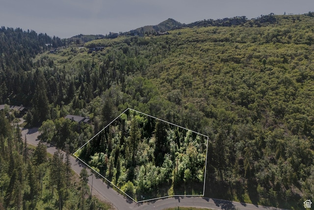 6890 Canyon Drive Ct, Park City, UT 84098