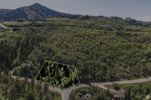 6890 Canyon Drive Ct, Park City, UT 84098