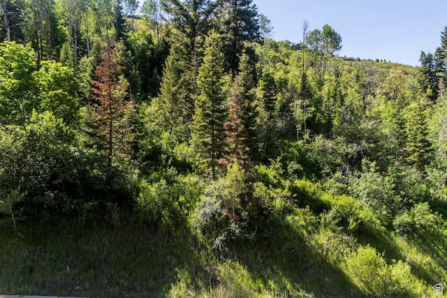 6890 Canyon Drive Ct, Park City, UT 84098