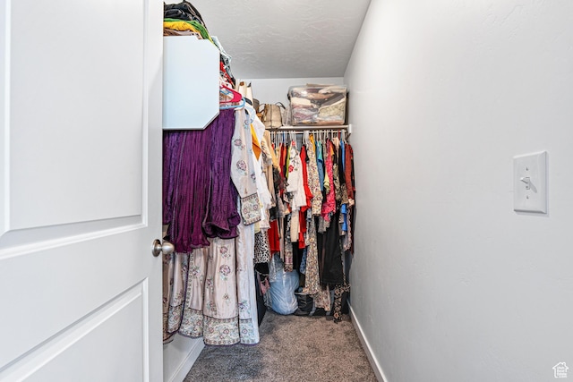 3970 W Cool Spring Ave, Lehi, UT 84043 - spacious closet with carpet