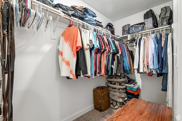 3970 W Cool Spring Ave, Lehi, UT 84043 - walk in closet featuring carpet flooring