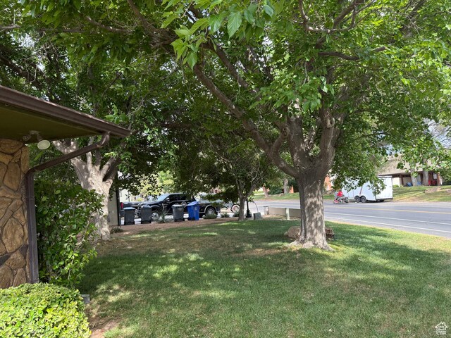 1144 W Bloomington Dr S, St George, UT 84790 - view of green lawn