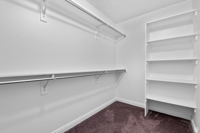 4699 W Greensand Dr S, West Jordan, UT 84084 - spacious closet featuring dark colored carpet