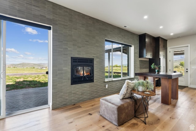 2711 S 500 E, Francis, UT 84036 - living area featuring light wood-style floors, recessed lighting, and a multi sided fireplace