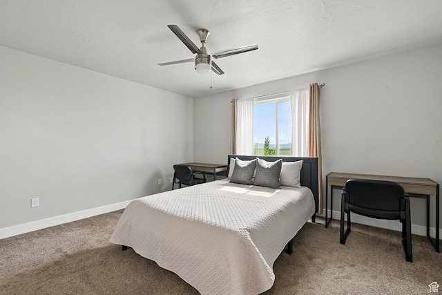48 S Cimarron Cir, Cedar City, UT 84720 - bedroom with carpet, baseboards, and a ceiling fan