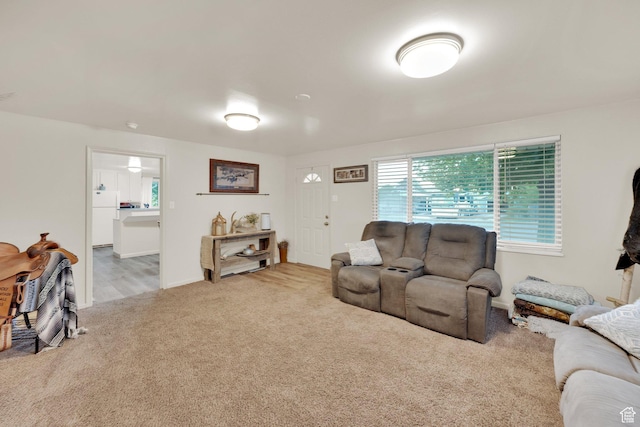 735 W 100 S, Payson, UT 84651 - carpeted living room with baseboards