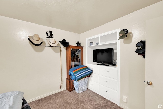 735 W 100 S, Payson, UT 84651 - bedroom with carpet flooring and baseboards