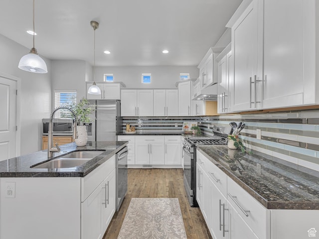 3877 S 1655 W, West Valley City, UT 84119 - kitchen with stainless steel appliances, under cabinet range hood, a sink, decorative backsplash, and white cabinetry