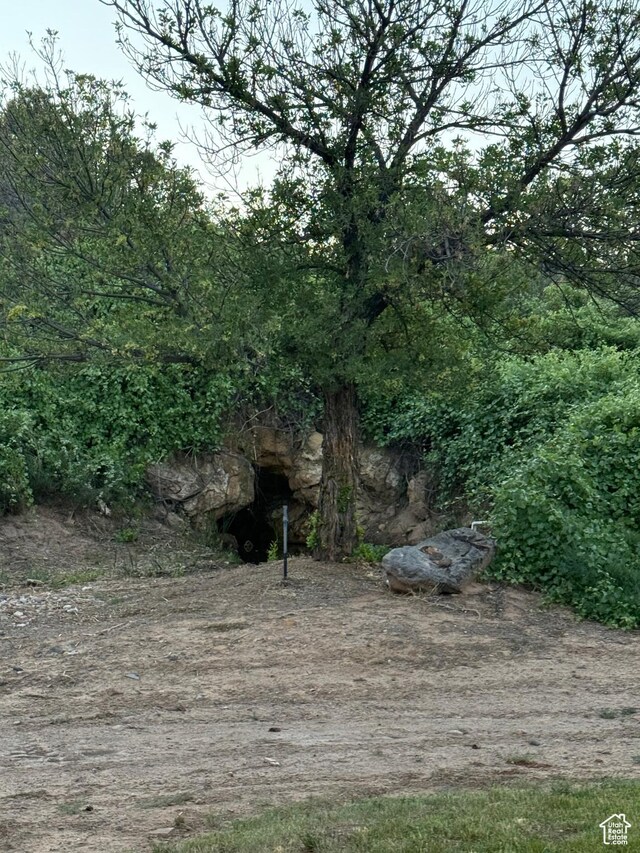 580 S Stagecoach Dr, Brookside, UT 84782 - view of yard