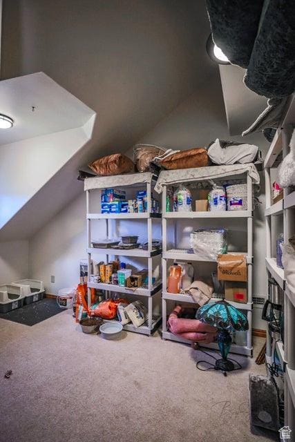 580 S Stagecoach Dr, Brookside, UT 84782 - view of storage room