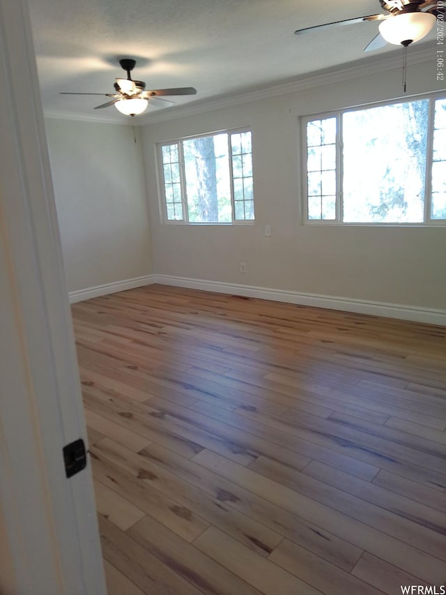 919 E Millbrook Way, Bountiful, UT 84010 - empty room featuring ornamental molding, ceiling fan, light wood-style flooring, and baseboards