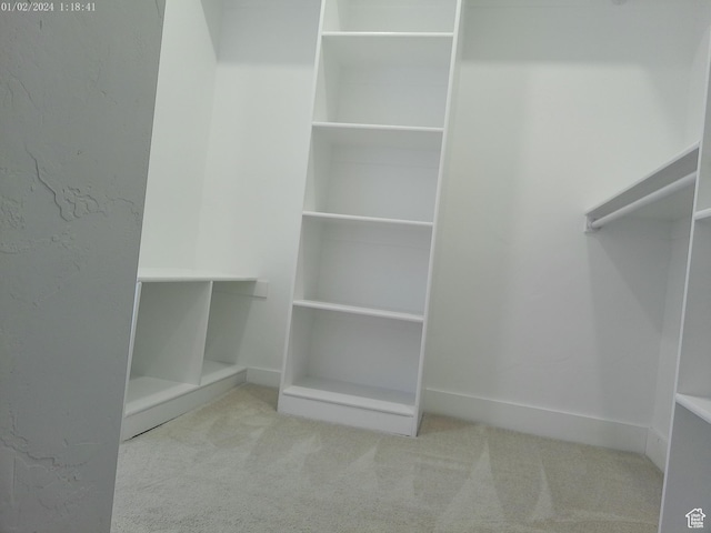 919 E Millbrook Way, Bountiful, UT 84010 - walk in closet with carpet floors