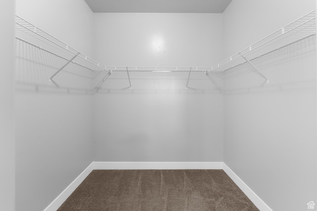 1809 W Terra Vista Ln N Unit B1, Saratoga Springs, UT 84045 - walk in closet with carpet floors